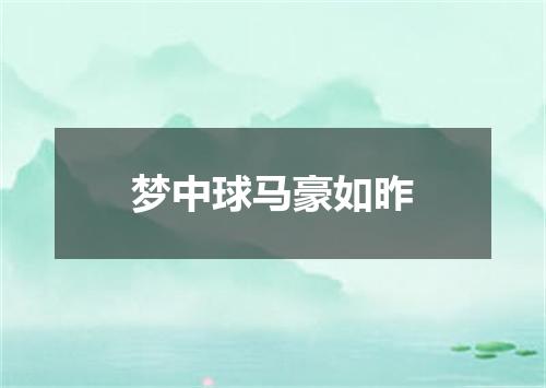 梦中球马豪如昨