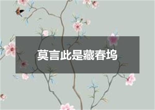 莫言此是藏春坞