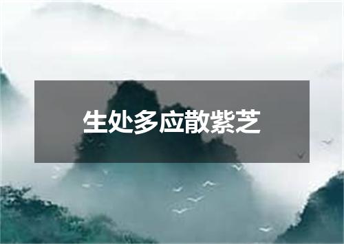 生处多应散紫芝