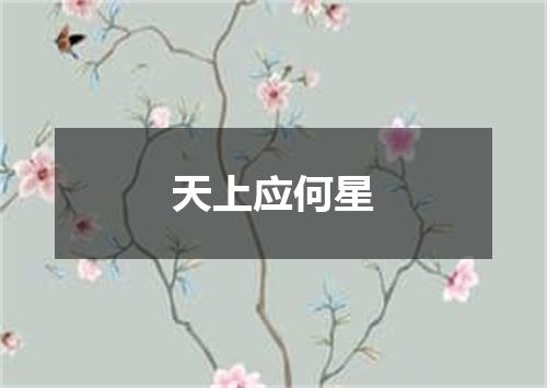 天上应何星
