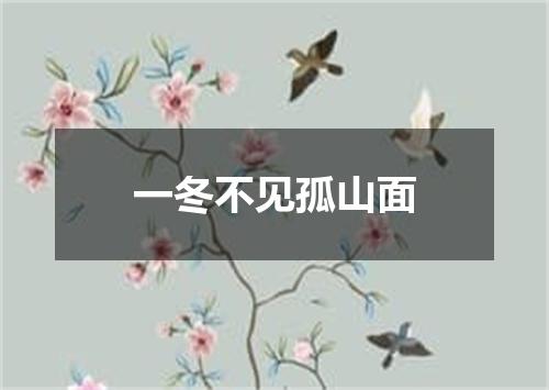 一冬不见孤山面