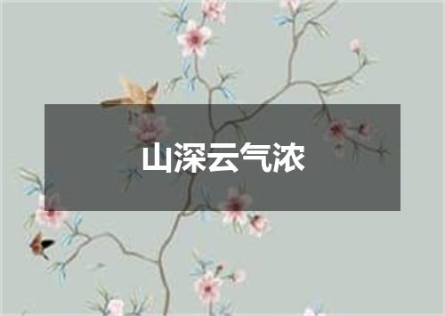 山深云气浓