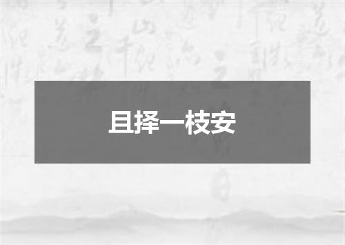 且择一枝安
