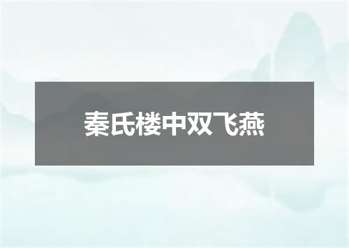 秦氏楼中双飞燕