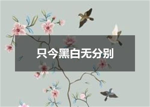 只今黑白无分别