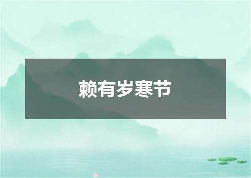 赖有岁寒节