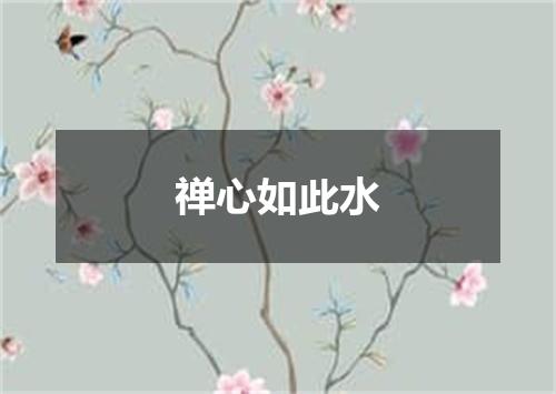 禅心如此水