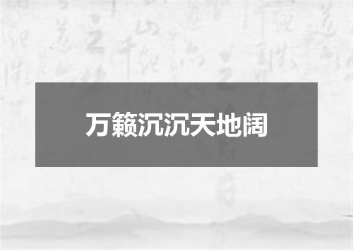 万籁沉沉天地阔