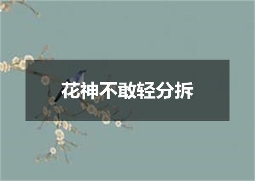 花神不敢轻分拆