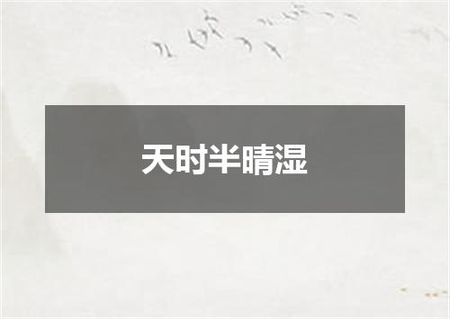 天时半晴湿