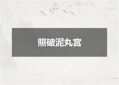照破泥丸宫