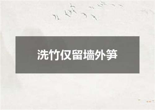 洗竹仅留墙外笋