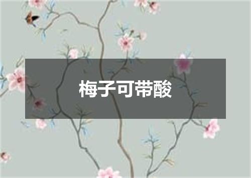 梅子可带酸