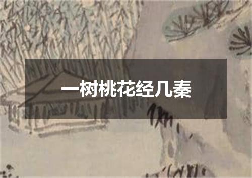 一树桃花经几秦