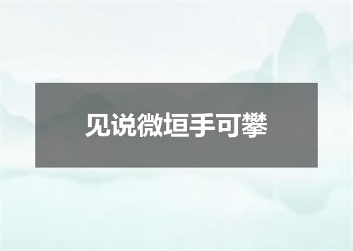 见说微垣手可攀
