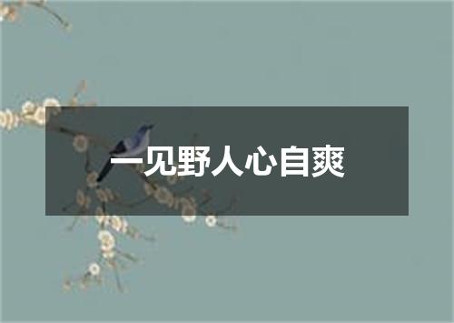 一见野人心自爽