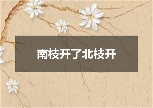 南枝开了北枝开