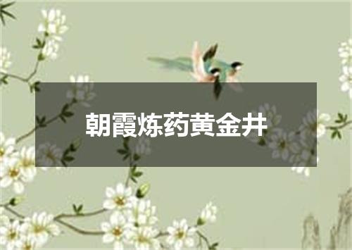 朝霞炼药黄金井