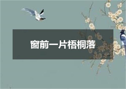 窗前一片梧桐落