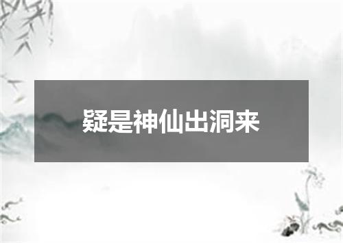疑是神仙出洞来