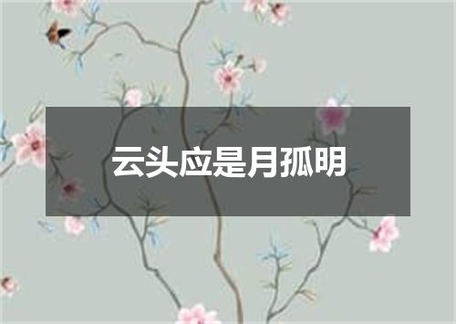 云头应是月孤明