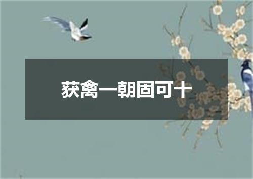 获禽一朝固可十