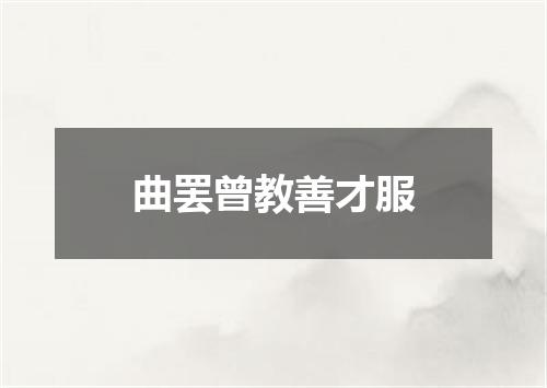 曲罢曾教善才服