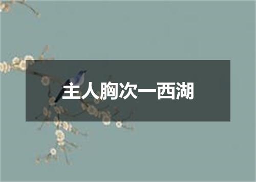 主人胸次一西湖