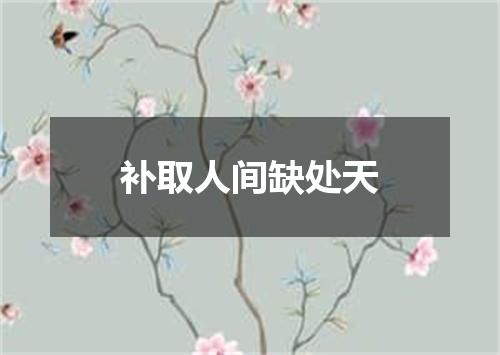 补取人间缺处天