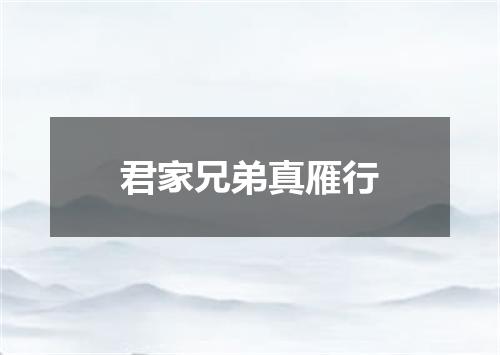 君家兄弟真雁行
