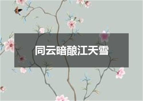 同云暗酿江天雪