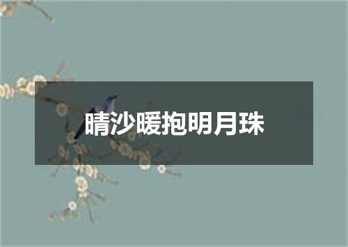 晴沙暖抱明月珠