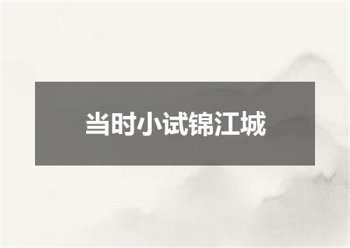当时小试锦江城