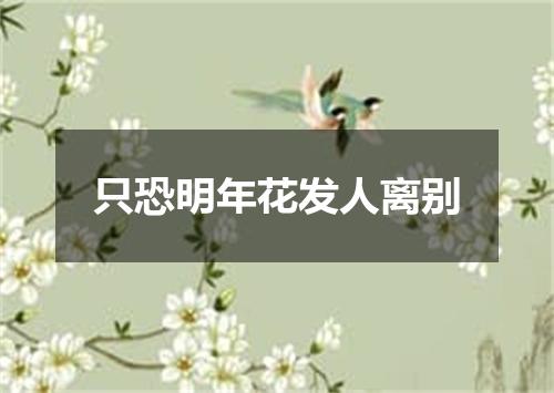 只恐明年花发人离别