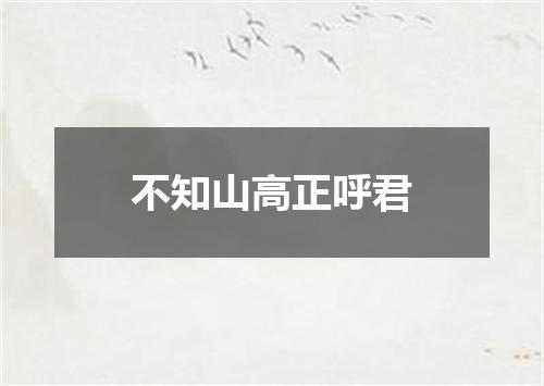 不知山高正呼君