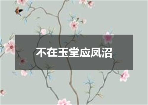 不在玉堂应凤沼