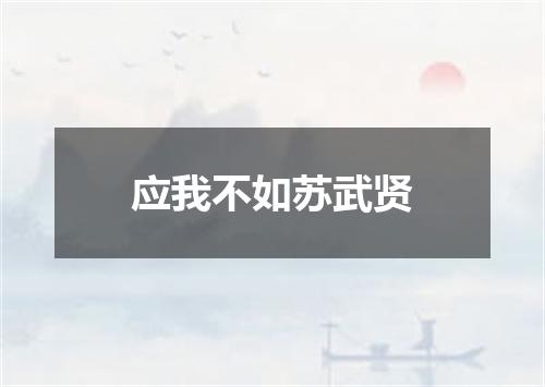 应我不如苏武贤