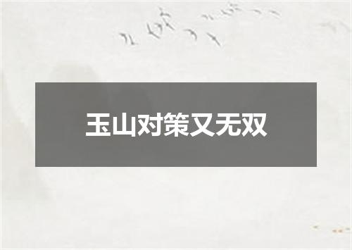 玉山对策又无双