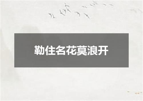 勒住名花莫浪开