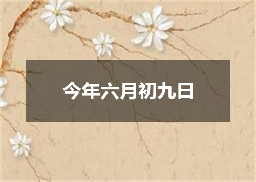 今年六月初九日
