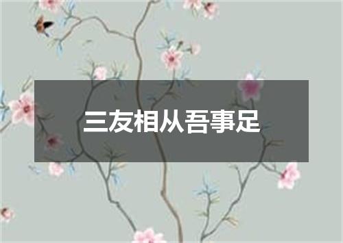 三友相从吾事足