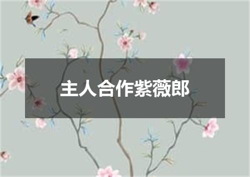 主人合作紫薇郎