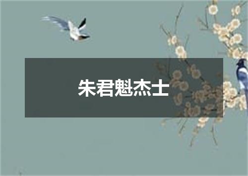 朱君魁杰士