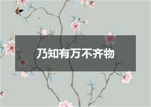 乃知有万不齐物