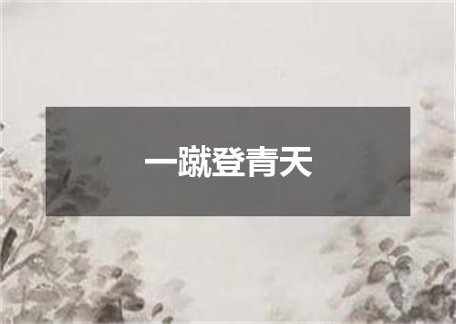一蹴登青天
