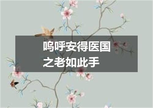 呜呼安得医国之老如此手
