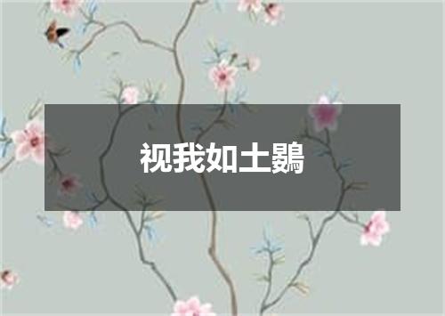 视我如土鷃