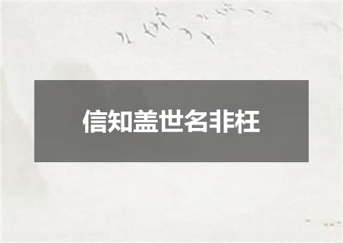 信知盖世名非枉