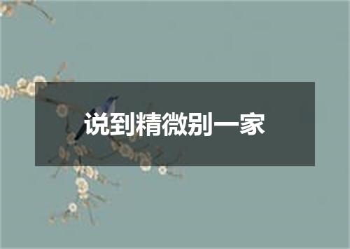 说到精微别一家