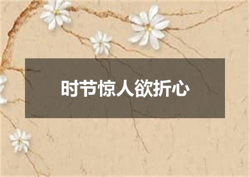 时节惊人欲折心